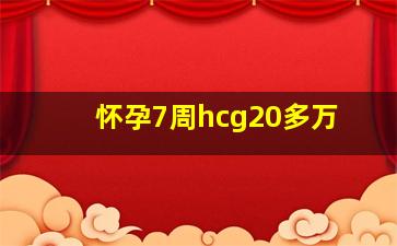 怀孕7周hcg20多万