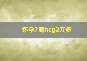 怀孕7周hcg2万多