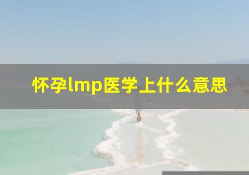 怀孕lmp医学上什么意思