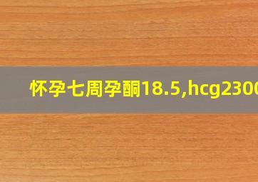 怀孕七周孕酮18.5,hcg23000