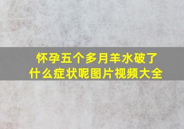 怀孕五个多月羊水破了什么症状呢图片视频大全