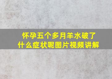 怀孕五个多月羊水破了什么症状呢图片视频讲解