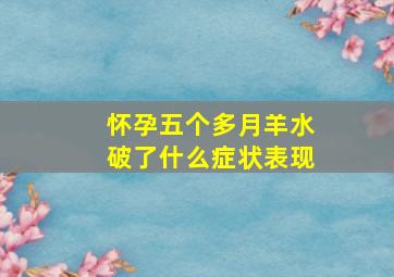 怀孕五个多月羊水破了什么症状表现