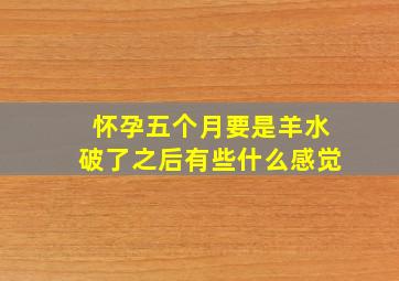 怀孕五个月要是羊水破了之后有些什么感觉