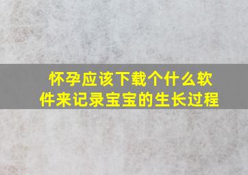 怀孕应该下载个什么软件来记录宝宝的生长过程