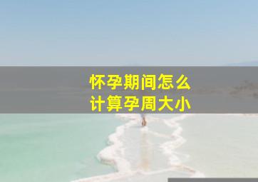 怀孕期间怎么计算孕周大小