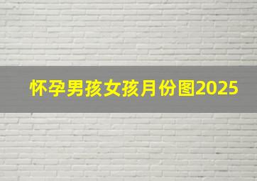 怀孕男孩女孩月份图2025