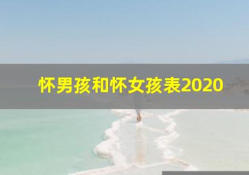 怀男孩和怀女孩表2020