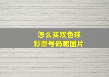 怎么买双色球彩票号码呢图片