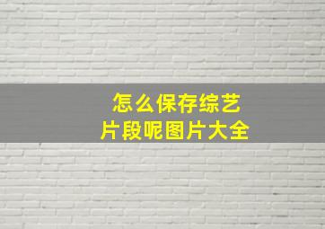 怎么保存综艺片段呢图片大全