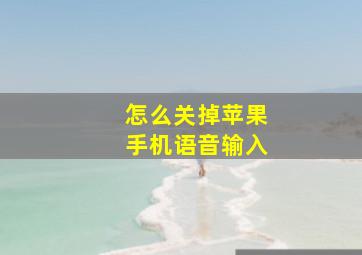 怎么关掉苹果手机语音输入