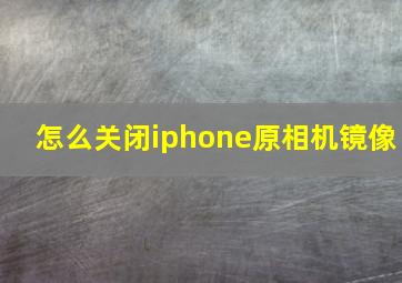 怎么关闭iphone原相机镜像