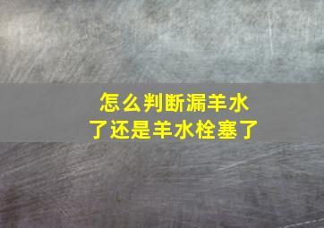 怎么判断漏羊水了还是羊水栓塞了