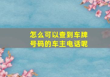 怎么可以查到车牌号码的车主电话呢