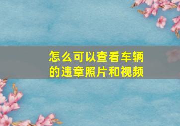 怎么可以查看车辆的违章照片和视频