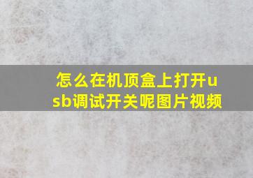 怎么在机顶盒上打开usb调试开关呢图片视频