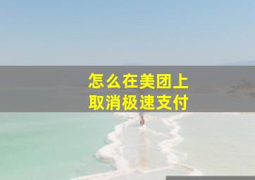 怎么在美团上取消极速支付