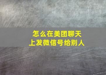 怎么在美团聊天上发微信号给别人