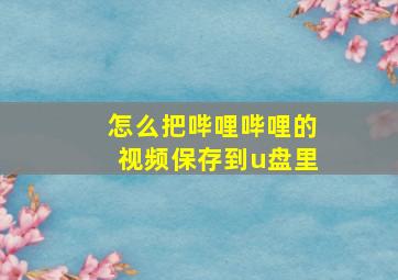 怎么把哔哩哔哩的视频保存到u盘里