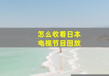 怎么收看日本电视节目回放