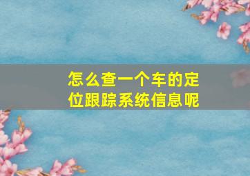 怎么查一个车的定位跟踪系统信息呢