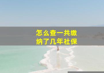 怎么查一共缴纳了几年社保