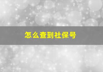 怎么查到社保号