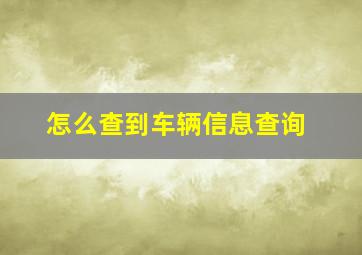 怎么查到车辆信息查询