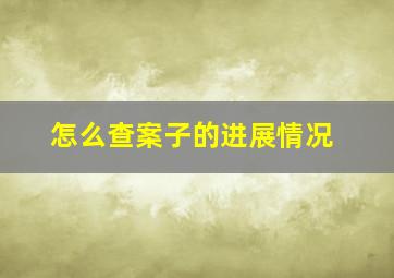 怎么查案子的进展情况