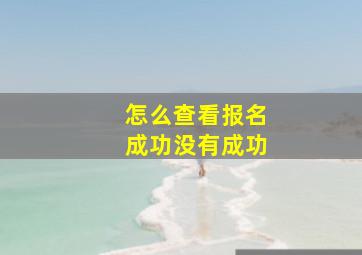 怎么查看报名成功没有成功