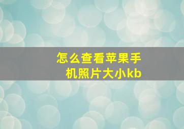 怎么查看苹果手机照片大小kb