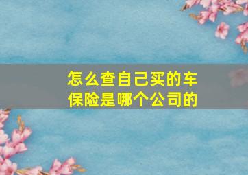 怎么查自己买的车保险是哪个公司的