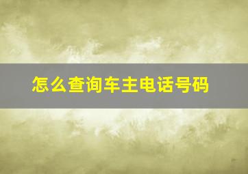 怎么查询车主电话号码