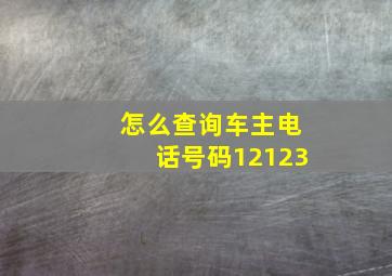 怎么查询车主电话号码12123