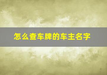 怎么查车牌的车主名字