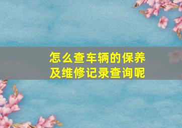 怎么查车辆的保养及维修记录查询呢