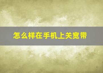 怎么样在手机上关宽带