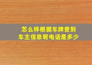 怎么样根据车牌查到车主信息呢电话是多少