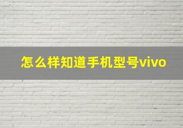 怎么样知道手机型号vivo