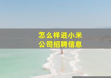 怎么样进小米公司招聘信息