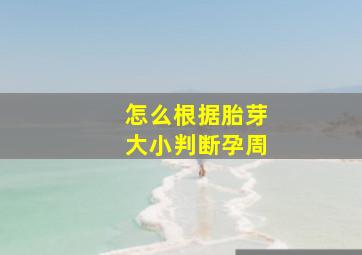 怎么根据胎芽大小判断孕周