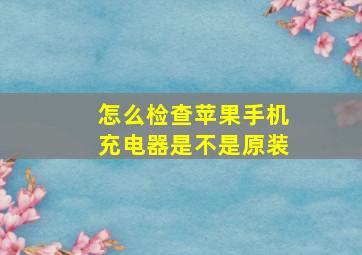 怎么检查苹果手机充电器是不是原装