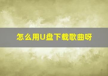 怎么用U盘下载歌曲呀