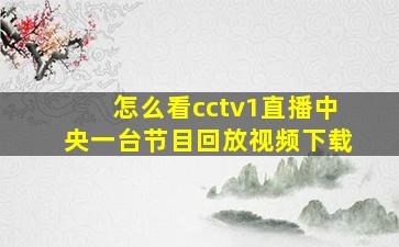 怎么看cctv1直播中央一台节目回放视频下载