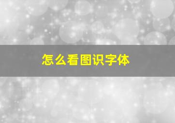 怎么看图识字体