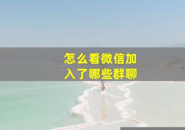 怎么看微信加入了哪些群聊