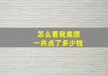 怎么看我美团一共点了多少钱