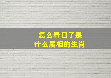 怎么看日子是什么属相的生肖