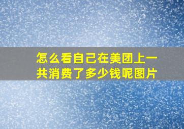 怎么看自己在美团上一共消费了多少钱呢图片