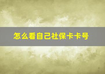 怎么看自己社保卡卡号